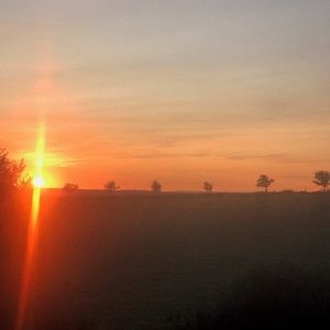 Meet your Posher, Carol